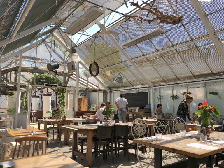 The Quince Tree Cafe, Clifton Nurseries Minn Majoe Violinist